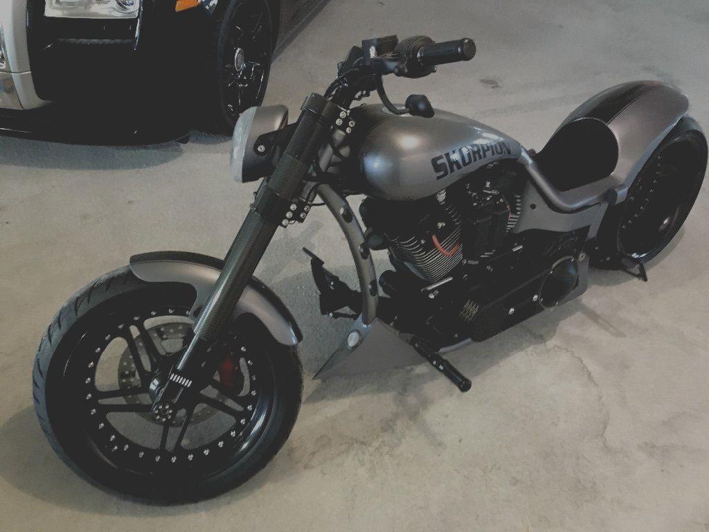 2014 Custom Built Motorcycle Rolling Thunder Skorpion