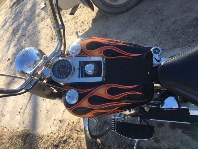 GREAT 1999 Special Construction Softail Motorcycle
