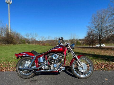 Custom Built 1998 Harley-Davidson Shovelhead Dual Disc Wide Glide Chopper Bobber for sale