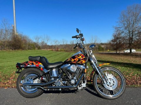1991 Harley-Davidson Softail Springer FXSTS w/ Custom Paint Set &amp; Extras!! for sale